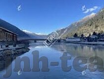 乐鱼体育app买球-乐鱼体育App，重启你的足球博彩之旅