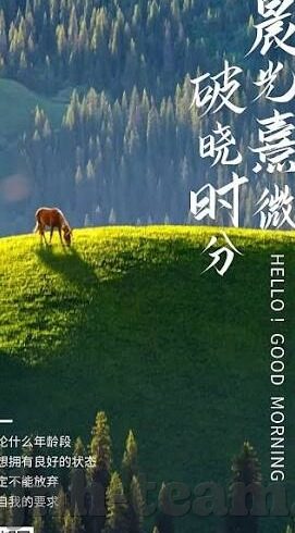 足球捷报比分推荐-足球捷报比分深度解析，从数据洞察到实战推荐，助你精准把握赛场脉搏